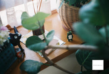 画像をギャラリービューアに読み込む, Konica SIII【完動品】【実写済み❗️】