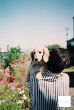 画像をギャラリービューアに読み込む, 【完動品】【実写済み】Canon A35