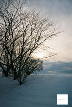 画像をギャラリービューアに読み込む, Minolta Prod20's【完動品】