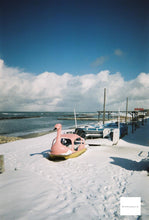 画像をギャラリービューアに読み込む, 写ルンです800 27枚撮り Newエース カラーフィルムカメラ【期限切れ】【実写済み❗️】