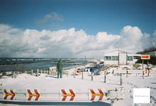 画像をギャラリービューアに読み込む, 写ルンです800 27枚撮り Newエース カラーフィルムカメラ【期限切れ】【実写済み❗️】