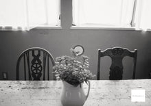 Load image into Gallery viewer, STREET CANDY100 (35mm film) monochrome 36 shots