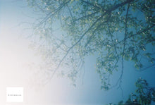 画像をギャラリービューアに読み込む, Minolta AF-TELE【動作品】【実写済み❗️】