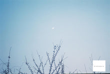 画像をギャラリービューアに読み込む, Asahiflex【完動品】【実写済み❗️】