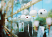 Load image into Gallery viewer, CUCFILM200 (35mm film) Color negative film 36 shots