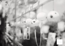 Load image into Gallery viewer, STREET CANDY100 (35mm film) monochrome 36 shots