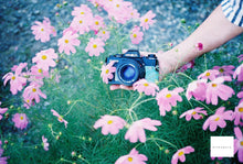 画像をギャラリービューアに読み込む, 【完動品】Minolta x-700 喫茶店のメロンクリームソーダ🍈