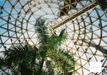 画像をギャラリービューアに読み込む, Konica Z-up115e【完動品】