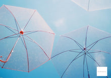 画像をギャラリービューアに読み込む, CONTAX ARIA【極美品❗️】【実写済み】【完動品】