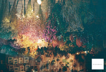 画像をギャラリービューアに読み込む, Minolta AF-S【完動品】