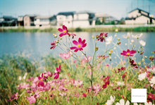 画像をギャラリービューアに読み込む, Canonet QL17【完動品】