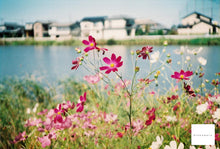 画像をギャラリービューアに読み込む, 【完動品】【実写済み】Canon A35