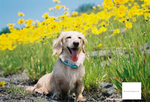 画像をギャラリービューアに読み込む, Canon EOS Kiss7【完動品】