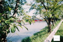 画像をギャラリービューアに読み込む, Canonet QL17【完動品】