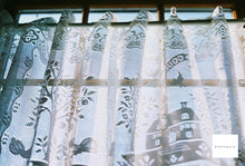 画像をギャラリービューアに読み込む, Polaroid200 35mmカラーネガフィルム 24枚撮り 【海外フィルム✈️/期限切れ】1本売り