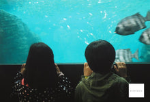 画像をギャラリービューアに読み込む, Asahiflex【完動品】【実写済み❗️】