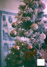 ç»åãã®ã£ã©ãªãŒãã¥ãŒã¢ã«èªã¿èŸŒã, Argus C3 IRISðºðžðœãå®ååããå®åæžã¿ã