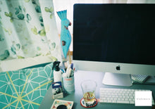 画像をギャラリービューアに読み込む, Flash Fujica 【完動品】