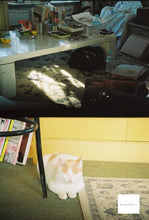 画像をギャラリービューアに読み込む, KYOCERA SAMURAIX3.0【完動品】【レア❗️】ハーフカメラ