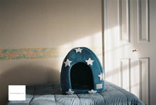 画像をギャラリービューアに読み込む, FUJIFILM NATURA NS ナチュラブラウン🍪【完動品】【実写済み❗️】