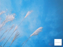 画像をギャラリービューアに読み込む, Minolta AF-S【完動品】状態◎