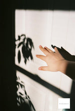 画像をギャラリービューアに読み込む, Minolta AF-Tele【完動品】