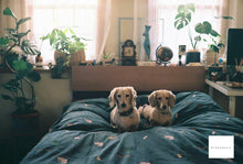 画像をギャラリービューアに読み込む, Konica SIII【完動品】【実写済み❗️】