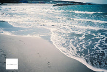 画像をギャラリービューアに読み込む, Canon Autoboy F【完動品】【希少❗️】【実写済み❗️】状態◎