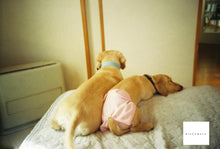 画像をギャラリービューアに読み込む, LOMO LC-A+【完動品】【実写済み❗️】【美品❗️】フルセット✨