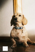 画像をギャラリービューアに読み込む, FUJIFILM NATURA1600 (35mmフィルム) カラーネガフィルム 36枚撮り 【期限切れ】