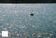 画像をギャラリービューアに読み込む, Canon Autoboy SII【完動品】【美品❗️】