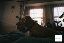 画像をギャラリービューアに読み込む, FUJIFILM NATURA1600 (35mmフィルム) カラーネガフィルム 36枚撮り 【期限切れ】