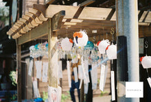 画像をギャラリービューアに読み込む, Canon Autoboy Luna85【完動品】