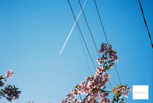 画像をギャラリービューアに読み込む, Nikon Lite・touch Zoom120ED【完動品】