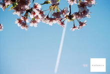 画像をギャラリービューアに読み込む, Nikon Lite・Touch Zoom70Ws【完動品】状態◎ フルセット❗️