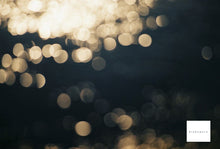 画像をギャラリービューアに読み込む, CONTAX Makro-Planar マクロ プラナー 60mmF2.8AEJ【完動品】【実写済み❗️】Aria、167MTなどに!