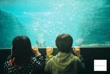 画像をギャラリービューアに読み込む, LOMO LC-A+【完動品】【実写済み❗️】【美品❗️】フルセット✨