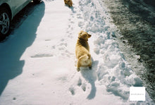 画像をギャラリービューアに読み込む, KONICA C35 E&L カフェモカ☕️🍪【完動品】