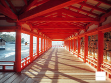 画像をギャラリービューアに読み込む, OLYMPUS E-P1【完動品】【実写済み❗️】▪️オールドコンデジ▪️デジタル一眼ミラーレスカメラ