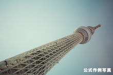 画像をギャラリービューアに読み込む, NARA5219 ASA(ISO)500 (35mmカラーフィルム) 36枚撮り ECN-2現像【海外フィルム✈️】