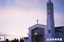 画像をギャラリービューアに読み込む, NARA5219 ASA(ISO)500 (35mmカラーフィルム) 36枚撮り ECN-2現像【海外フィルム✈️】