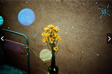 Load image into Gallery viewer, HOASCA 200 (35mm film) Color negative film 36 shots