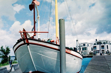 画像をギャラリービューアに読み込む, WOLFEN COLOR NC500 35mmカラーネガフィルム 36枚撮り 【海外フィルム✈️】