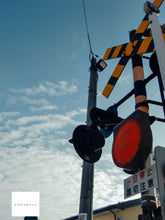 画像をギャラリービューアに読み込む, CASIO EXILIM EX-H10【動作品】【実写済み❗️】▪️オールドコンデジ▪️デジタルカメラ