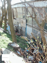 画像をギャラリービューアに読み込む, CASIO EXILIM EX-ZS150【完動品】状態◎ライムグリーン・フルセット❗️▪️オールドコンデジ▪️デジタルカメラ