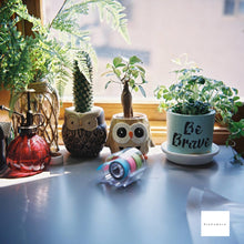 画像をギャラリービューアに読み込む, YASHICAFLEX AII型【完動品】【実写済み❗️】中判カメラ・状態◎