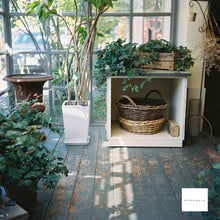 画像をギャラリービューアに読み込む, Kodak GOLD200 (120フィルム/中判カメラ用)カラーネガフィルム 12枚撮り 1本売り【期限内】