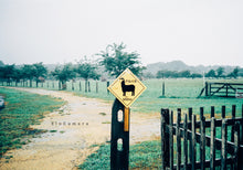 Load image into Gallery viewer, Canon Autoboy2