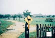 画像をギャラリービューアに読み込む, Canon Autoboy3【完動品】