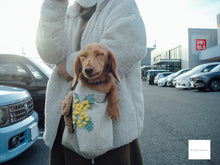 画像をギャラリービューアに読み込む, SONY Super Steady Shot DSC-W80【完動品】【実写済み❗️】▪️オールドコンデジ▪️デジタルカメラ